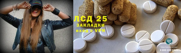 твердый Армянск