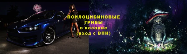 стаф Аркадак