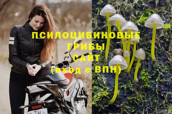 mix Арсеньев