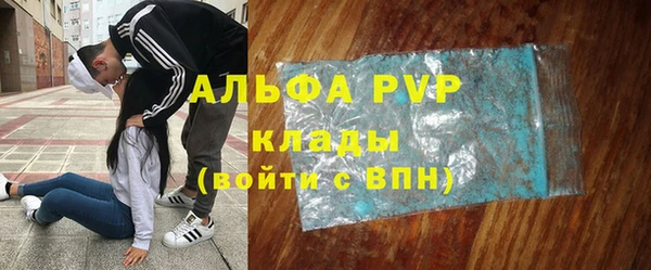 стаф Аркадак