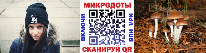 Галлюциногенные грибы Psilocybe  Бодайбо 